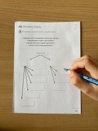 Światowy Dzień Ziemi - klasy starsze