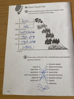 zdjęcie przedstawiające opisaną kartkę