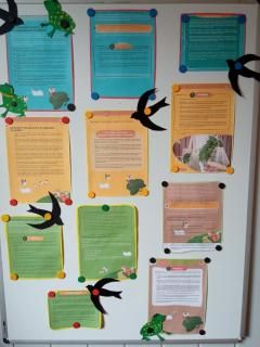 lisa prac na tablicy