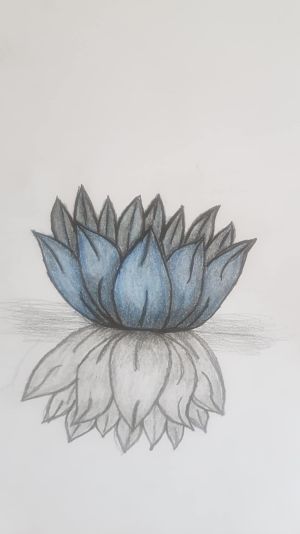 53fcc222-f170-417b-a19b-640f453e97e2