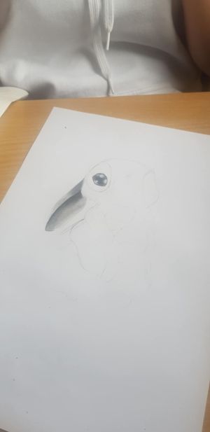 d1cdba73-3e95-423a-bb91-252eb2056539